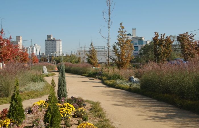청주시 오송물결정원, 주민 손길 더해 가을정원으로 변신