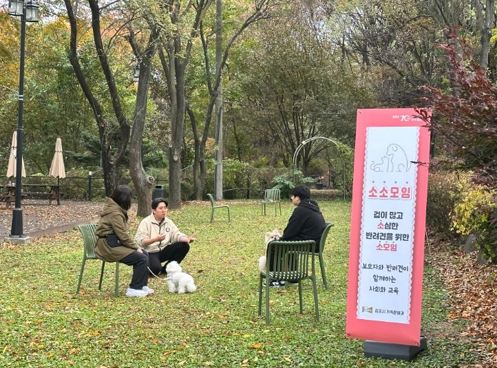 반려견 사회화 교육