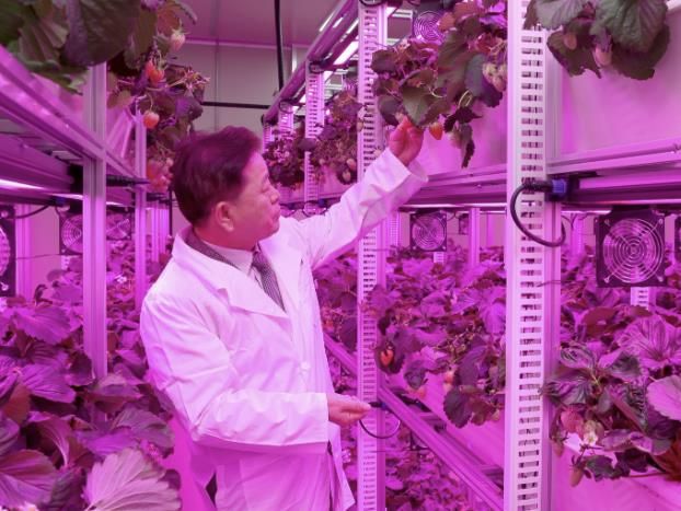 박승원 광명시장이 지난 11월 22일 광명동굴 근처 옛 업사이클아트센터에서 열린 ‘광명동굴 딸기 스마트팜’ 개소식에 참석해 스마트팜 재배시설을 둘러보고 있다.