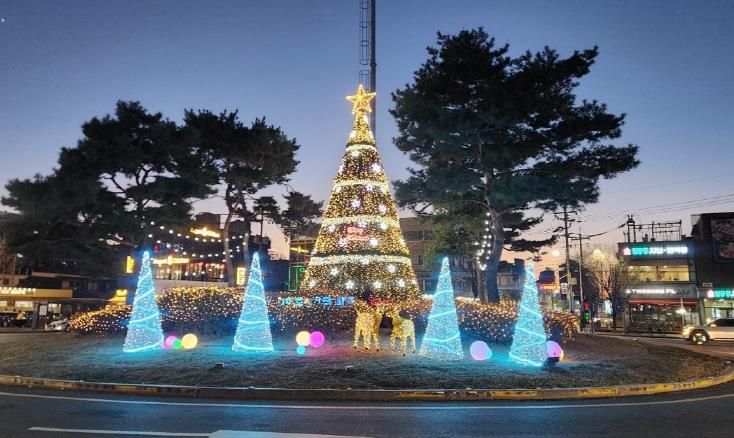 파주시 주요 교차로 대형 성탄절 나무 경관조명 설치… 따뜻한 연말 분위기 연출