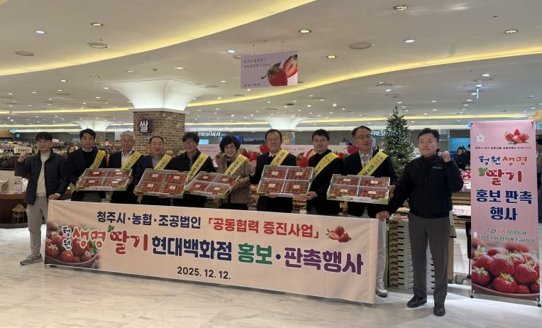 청주시, 현대백화점 충청점서 ‘청원생명딸기’ 판촉행사 운영