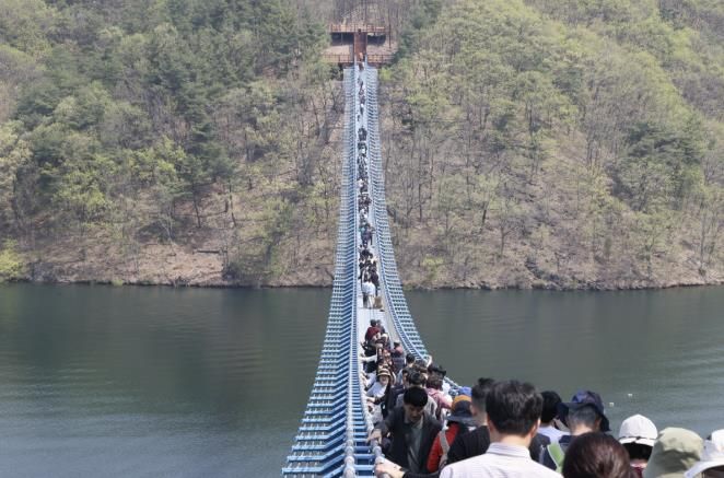 미르309 출렁다리 사진