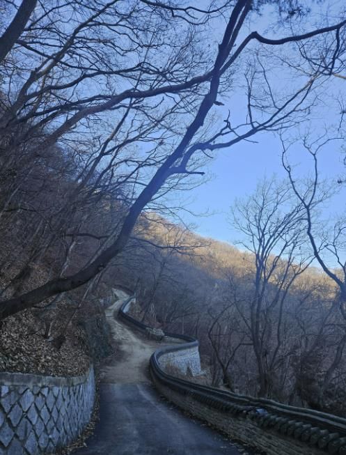 용인특례시가 석성산 숲길 정비사업을 진행한 현장 모습