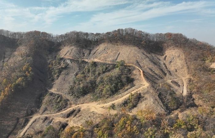 청주시, 수림대 남기는 친환경 목재 생산시 지원금 지급