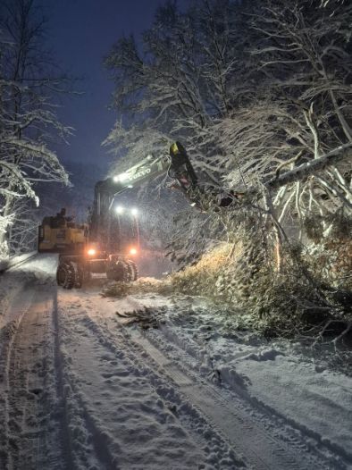평창군, 대관령 39.2cm 폭설 완벽 대응