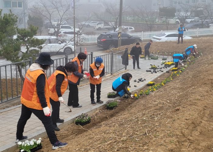 비전2동 2026년 새봄맞이 봄꽃 심기